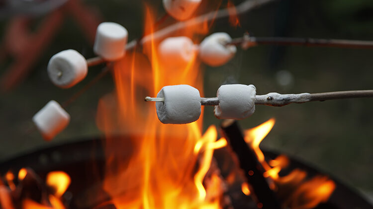 Campfire Fridays This is a photo of roasting marshmallows over a campfire.